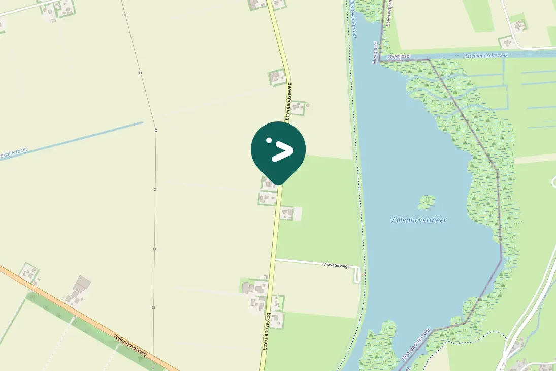 Spotted Common Pochard