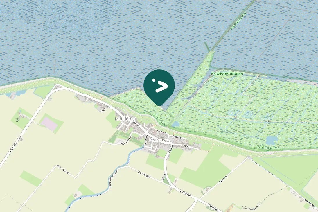 Waargenomen Tureluur