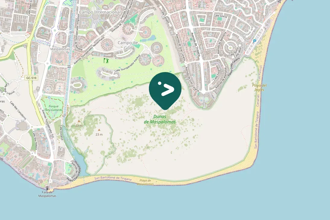 Waargenomen Strandleeuwerik