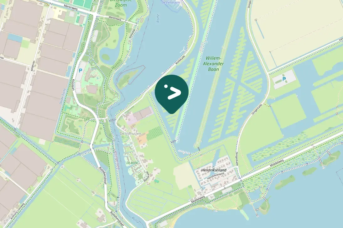 Spotted Green-winged Teal