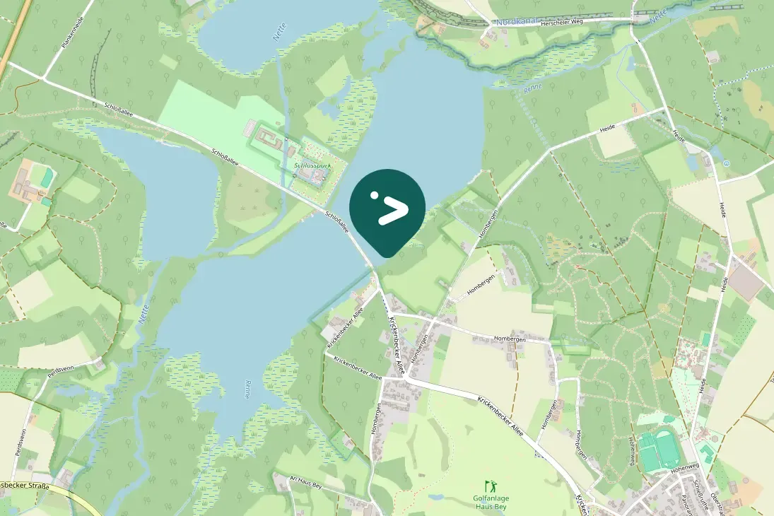 Waargenomen Zwarte specht