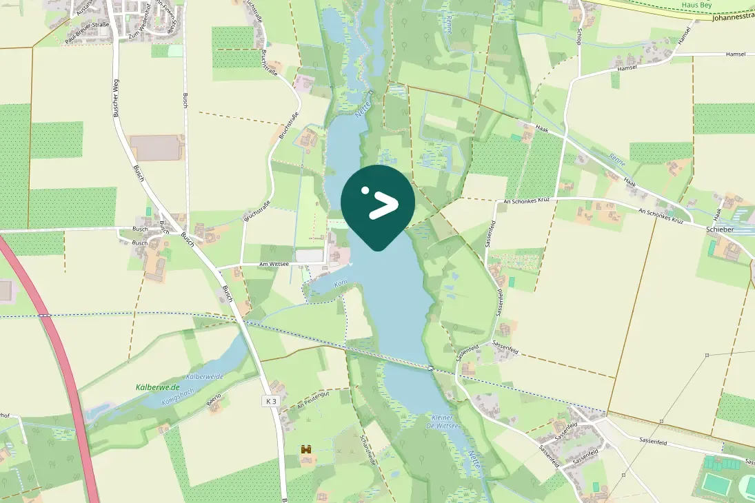 Waargenomen IJsvogel