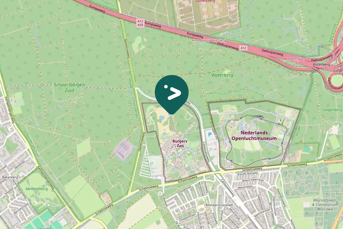 Waargenomen Grote gele kwikstaart