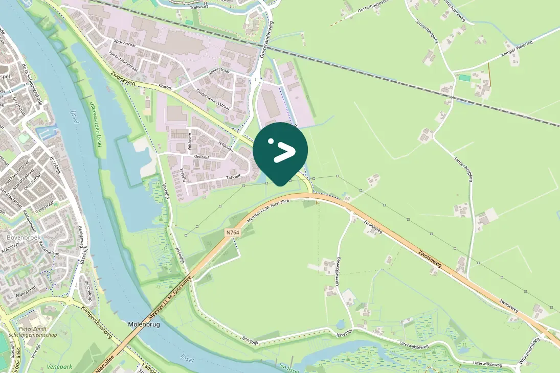 Waargenomen Grauwe gans