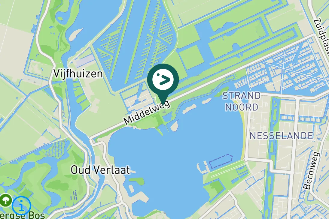 Spotted Black-crowned Night Heron