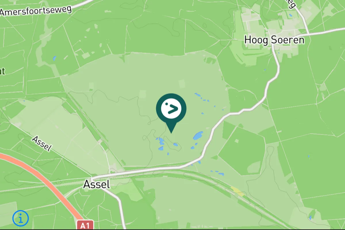 Spotted Rough-legged Hawk