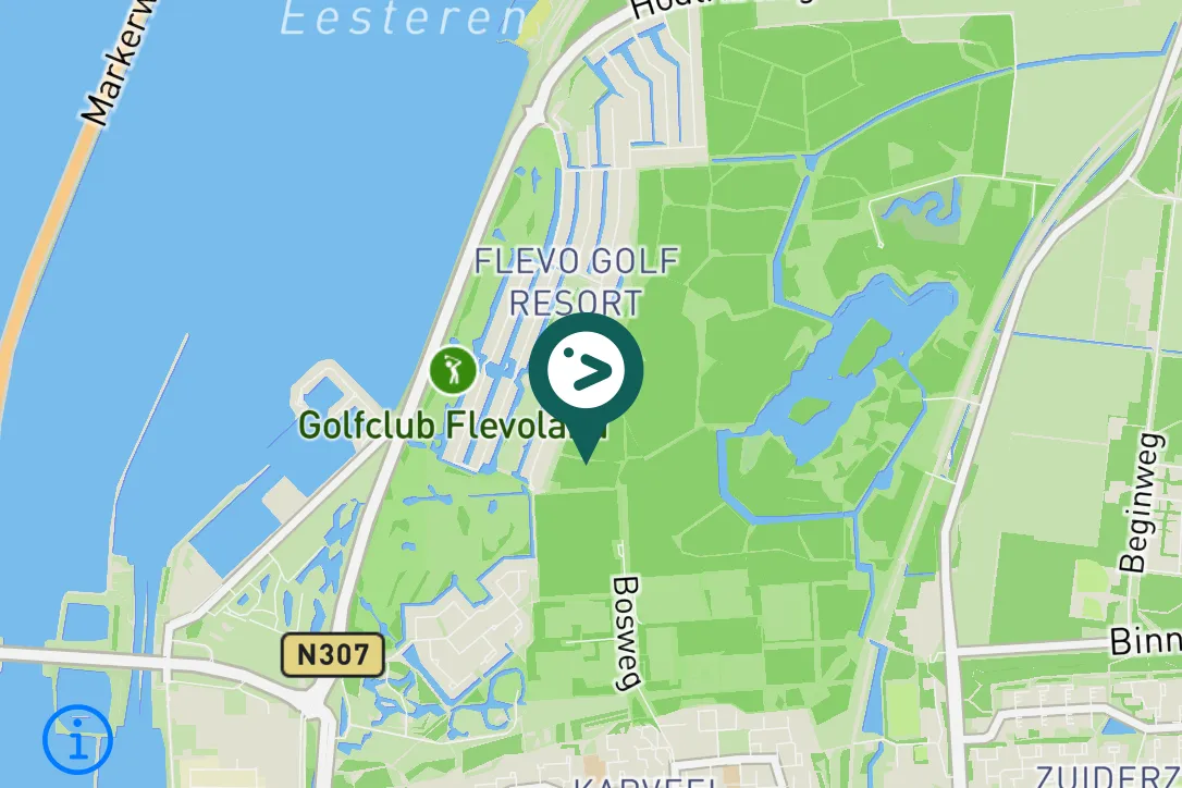 Spotted Orange-breasted Forest Robin