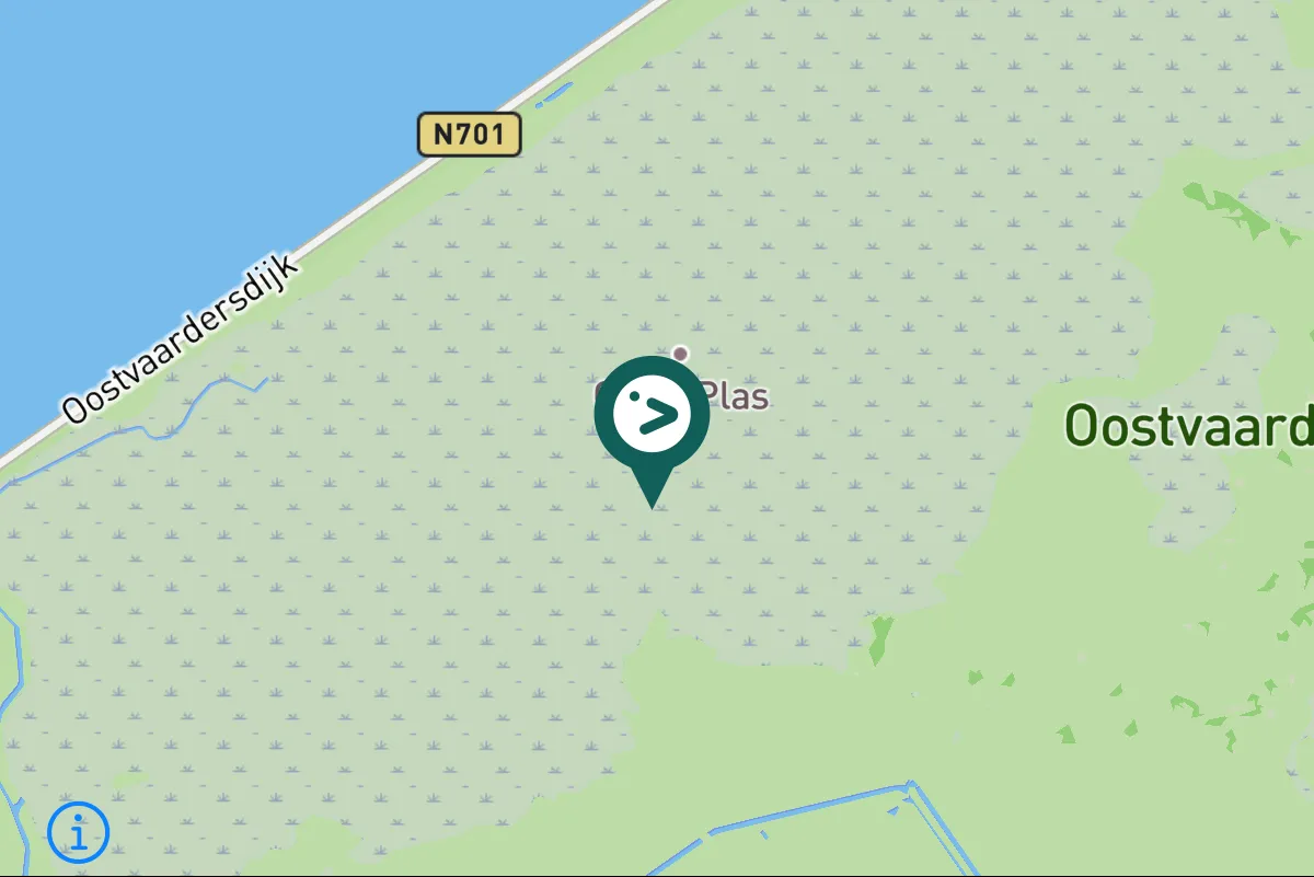 Spotted White-tailed Eagle