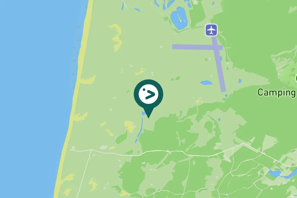 Spotted Woodchat Shrike