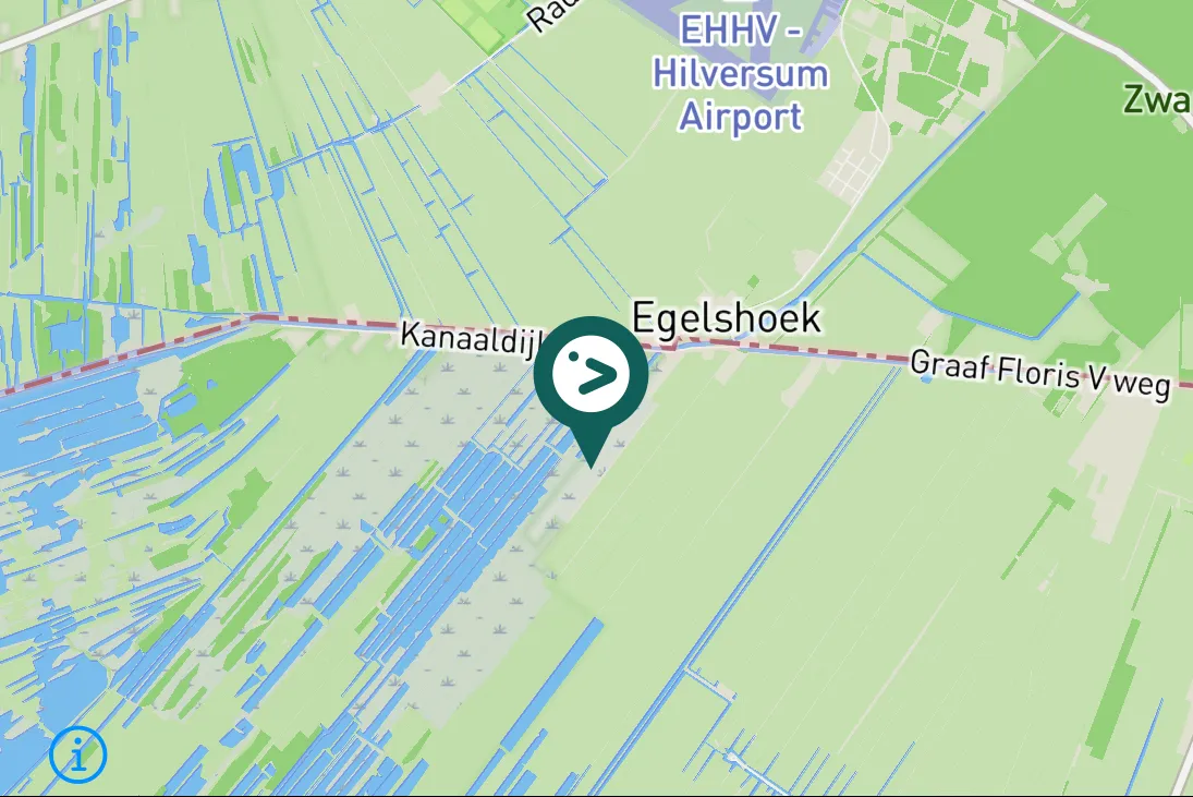 Spotted Western House-Martin