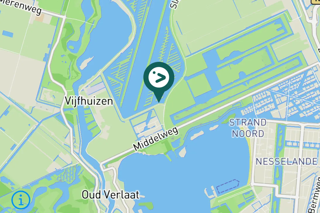 Spotted Short-eared Owl