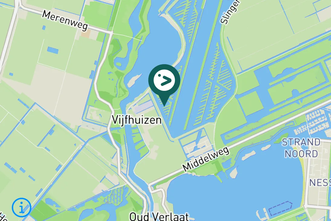 Spotted Wood Sandpiper