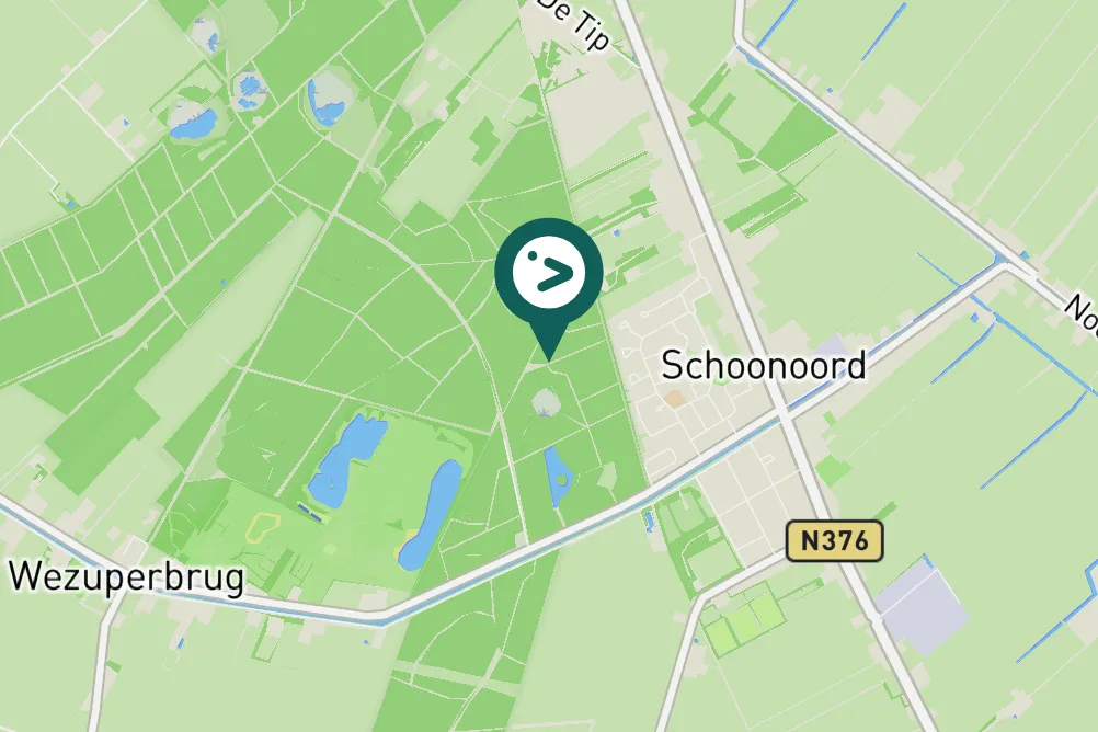 Spotted Common Chiffchaff