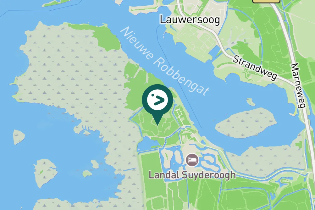 Spotted Spotted Flycatcher