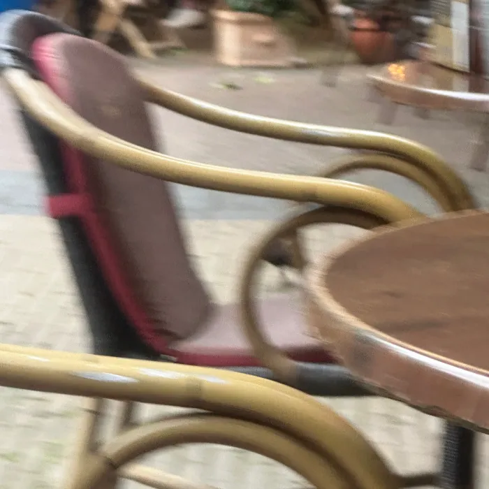 Waargenomen Merel