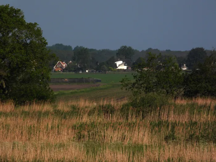 Waargenomen Grote zilverreiger