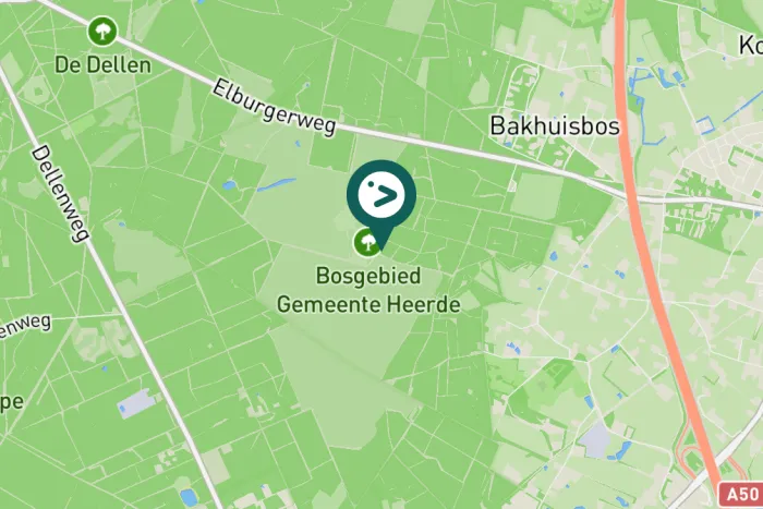 Gespotte Grote bonte specht