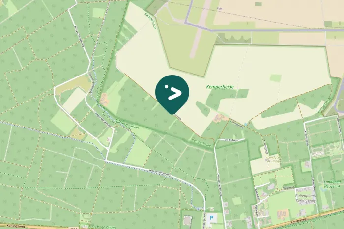 Spotted Rough-legged Hawk