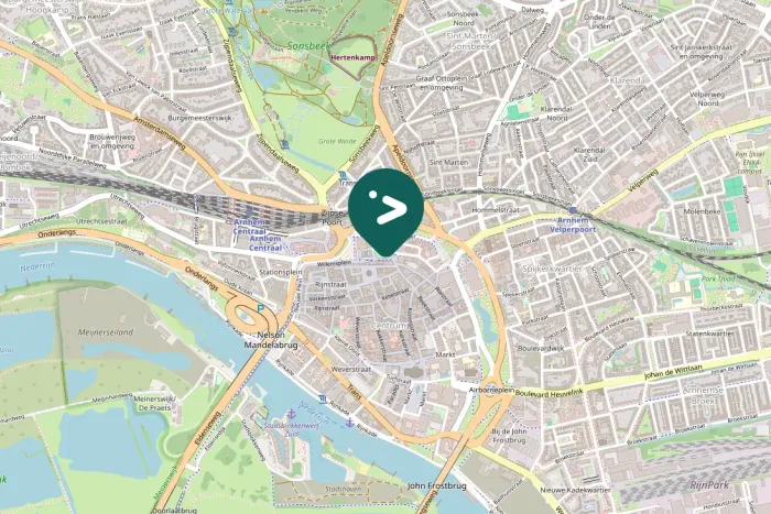 Spotted Bonaparte's Gull