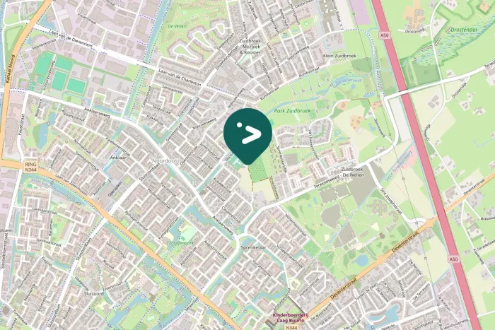 Spotted White Wagtail