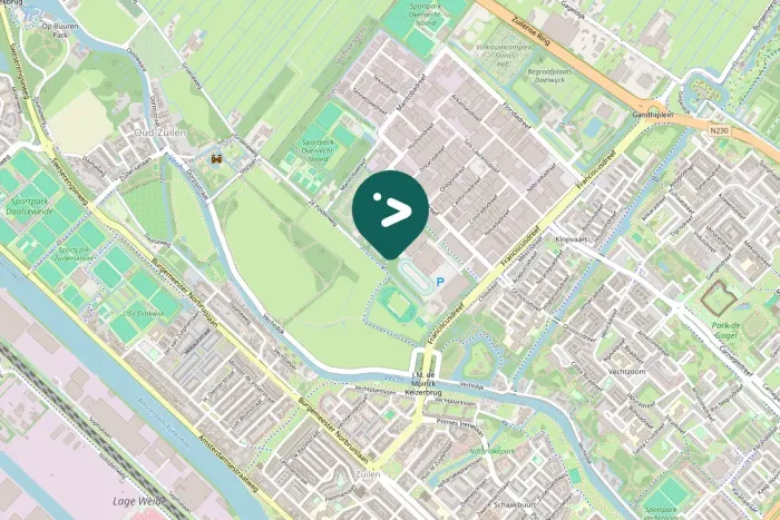 Spotted Eurasian Siskin