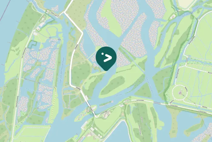 Spotted Northern Lapwing