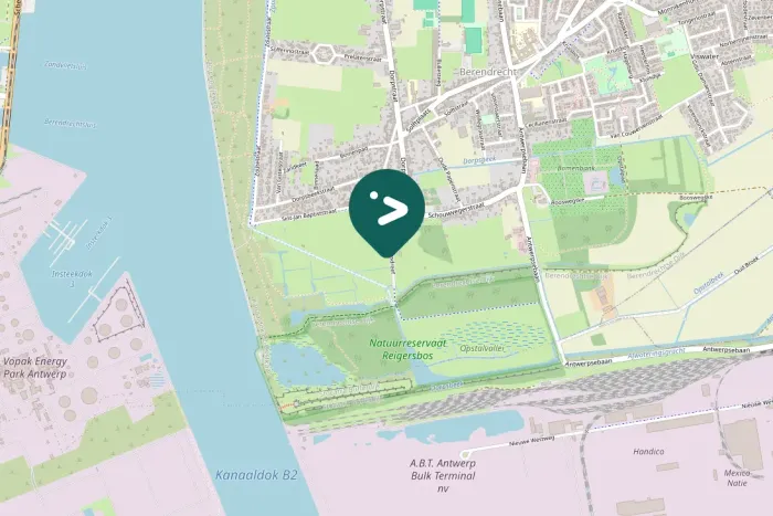 Spotted Lesser Spotted Woodpecker