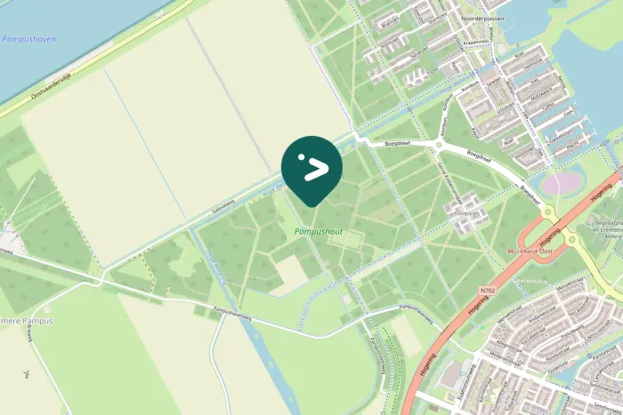 Spotted Eurasian Nuthatch