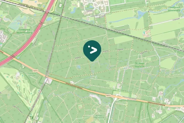 Spotted Black Woodpecker