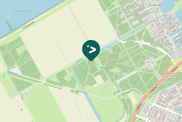 Spotted Eurasian Golden Oriole