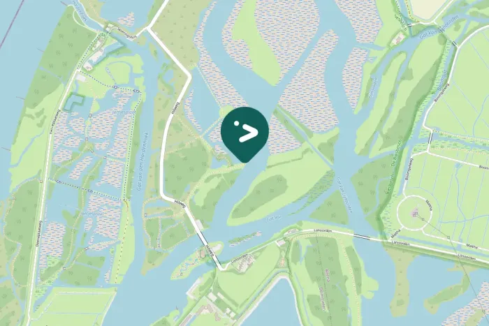 Spotted White-tailed Eagle