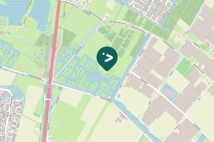 Spotted Graylag Goose