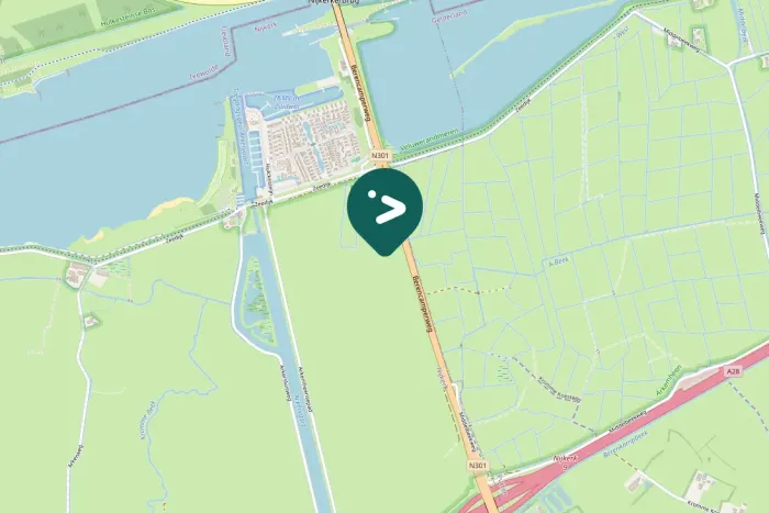 Spotted Eurasian Curlew