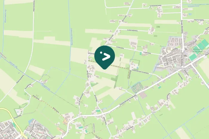 Spotted Red Crossbill