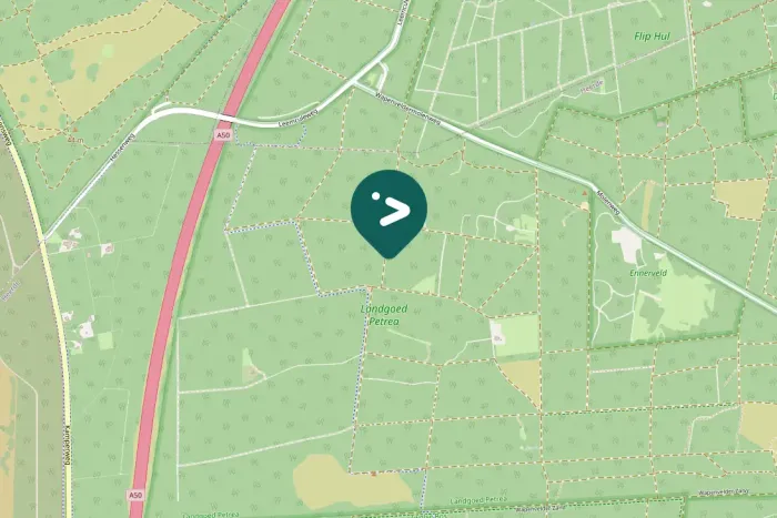 Spotted Great Spotted Woodpecker