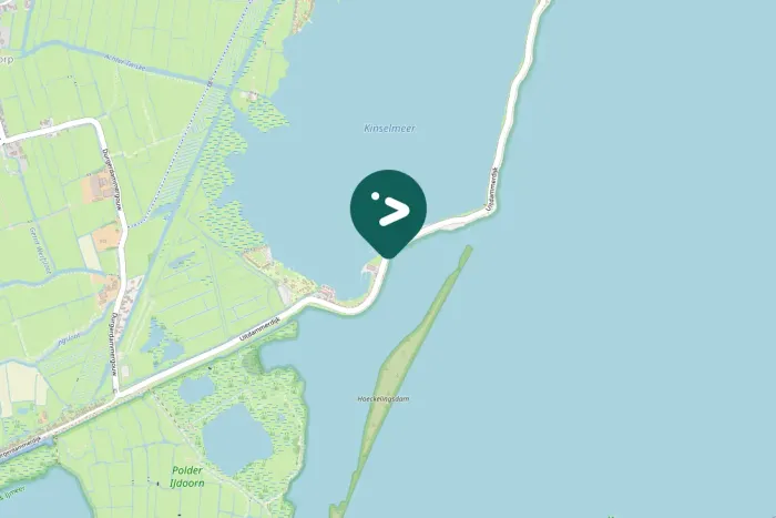 Spotted Eurasian Wigeon