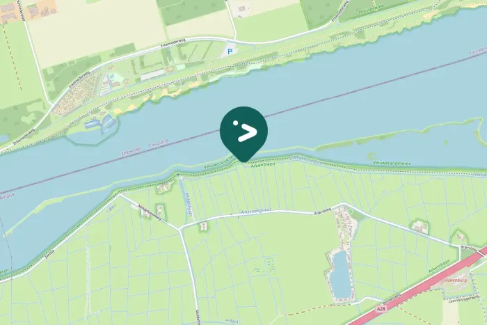 Spotted Eurasian Bittern