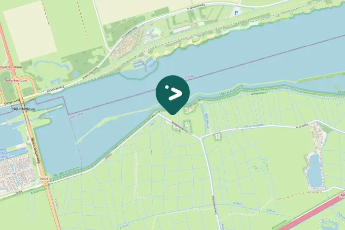 Spotted European Goldfinch