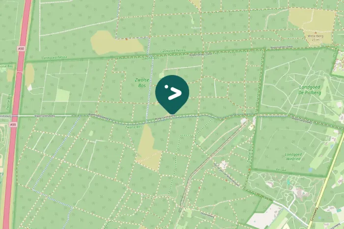 Spotted Great Spotted Woodpecker