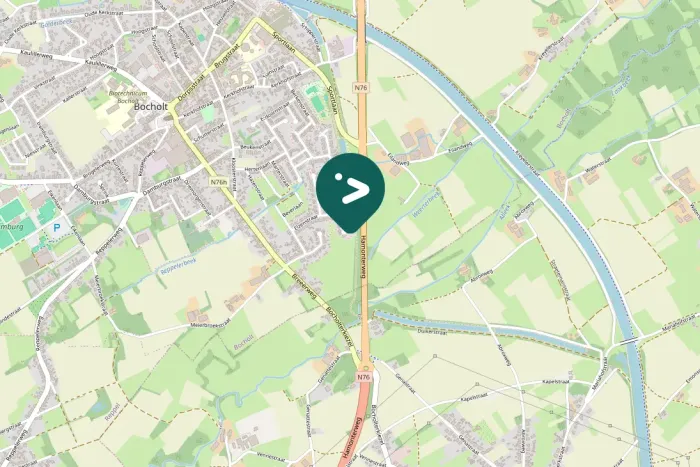 Spotted Short-toed Treecreeper