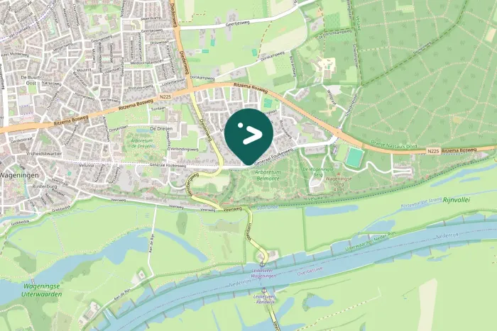 Spotted Mistle Thrush