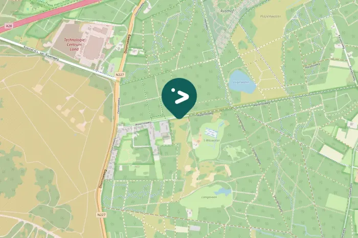 Spotted Great Gray Shrike