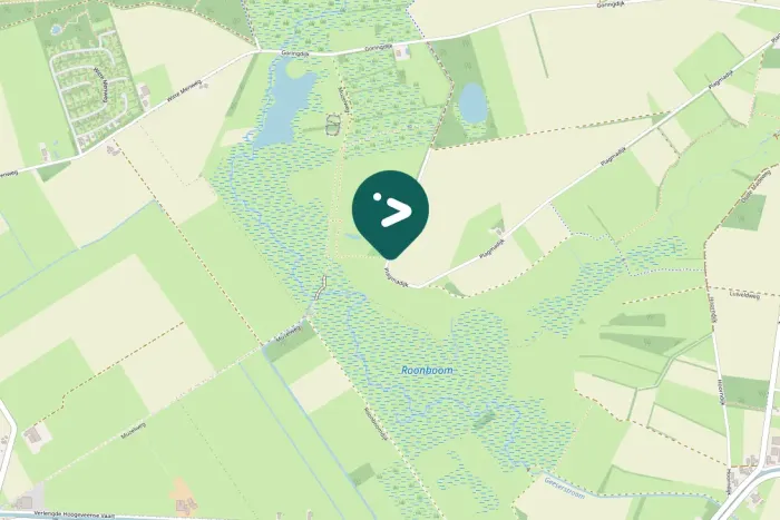 Spotted Common Raven