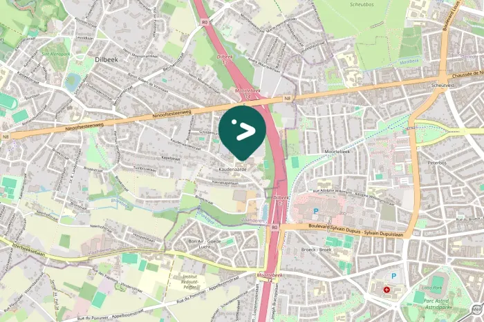 Spotted Ring-necked Pheasant