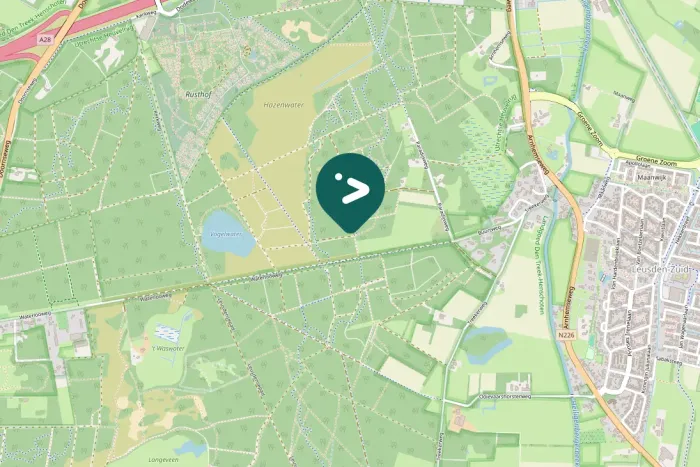 Spotted Eurasian Woodcock