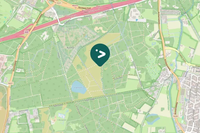 Spotted Black Woodpecker