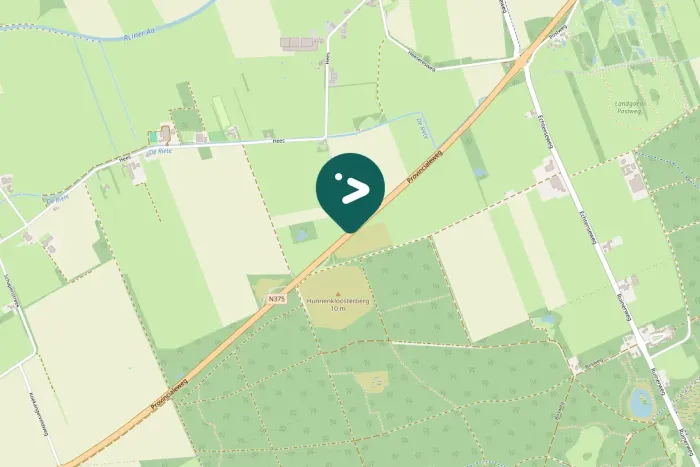 Spotted Whooper Swan