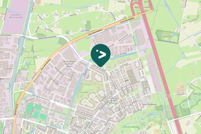 Spotted Green-winged Teal