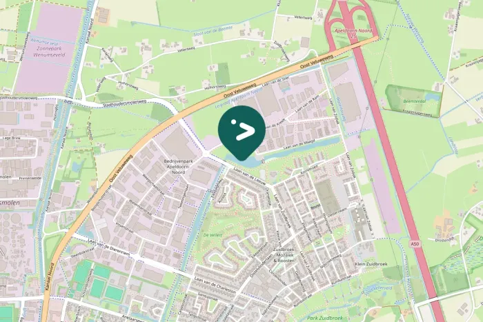 Spotted Canada Goose