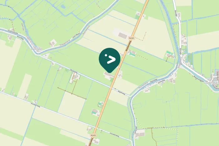 Spotted Common Pochard